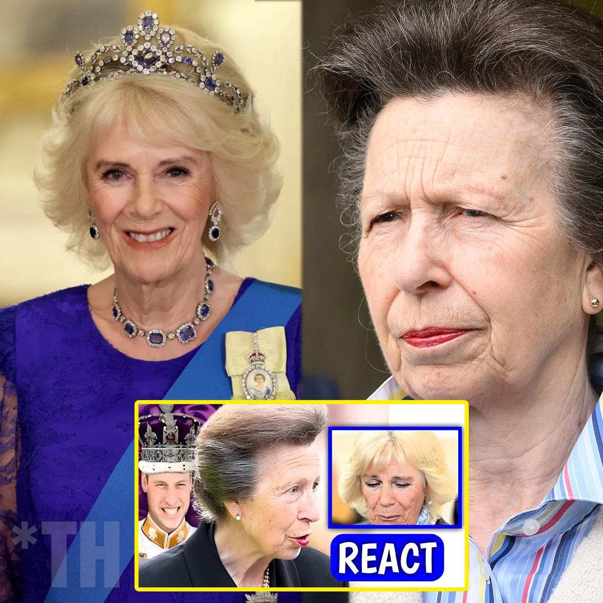 Princess Anne FURIOUS REACTION After Queen Camilla EVIL PLAN To Stop Harry From Becoming King Leak