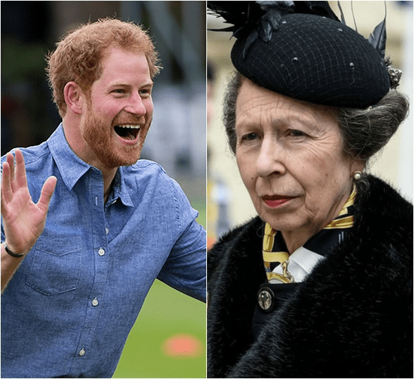 2 MINS AGO! Princess Anne has officially determined Prince Harry’s title in King Charles’s absence, earning widespread applause across the UK.