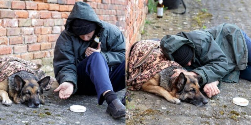 Ho.meless man sleeps with his Dog: The Four-Paw Angel will never leave or be.tray Him!