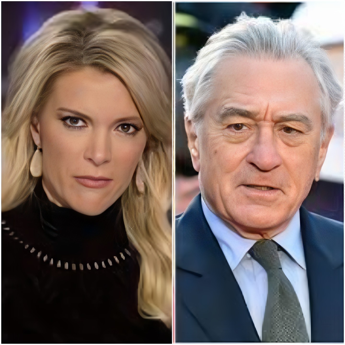 Megyn Kelly sharply condemned Robert De Niro, labeling him as “colossally stupid”. maily