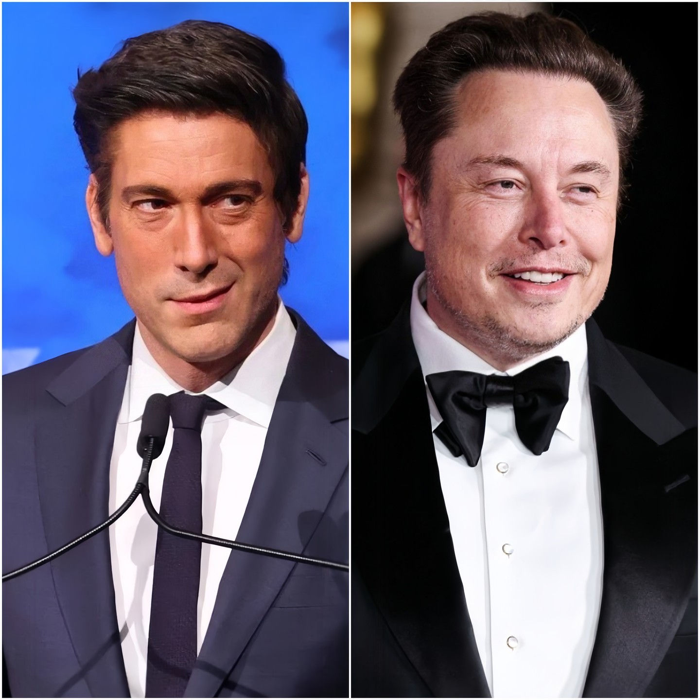 Elon Musk Plans to Buy ABC, Vows to Fire David Muir and Restructure the Entire Network. maily