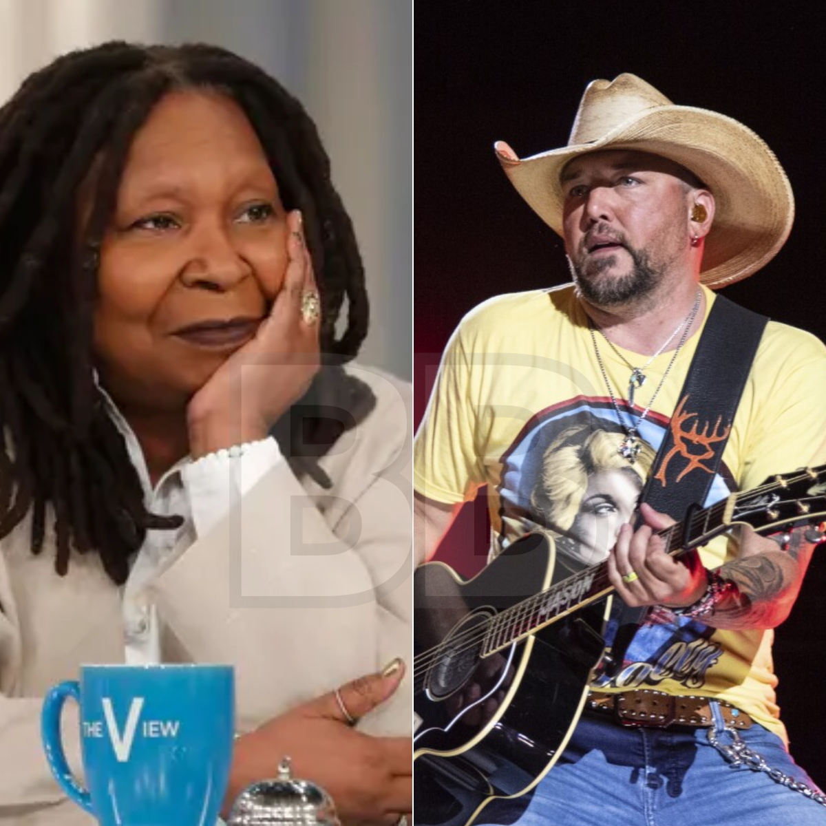 Jason Aldean Sues Whoopi Goldberg For A Cool $100 Billion: Did Jason Aldean sue Whoopi Goldberg and “The View” for defamation?-baobao