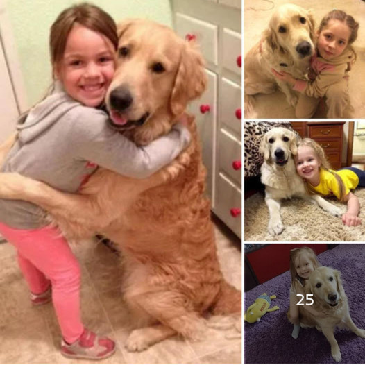 The emotional reunion between a dog and his young owner after 300 days apart has captured millions’ attention, sparking curiosity about the amazing story behind their heartwarming embrace.anhxuan