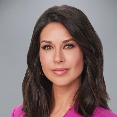 Here’s the Scoop on MSNBC Anchor Ana Cabrera’s Under-the-Radar Husband, Benjamin Nielson – He’s Anything But Ordinary!!!